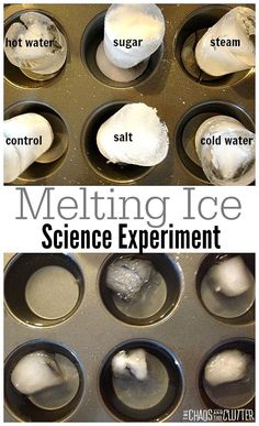 an image of melting ice in a muffin tin with text overlaying that reads melting ice science experiment