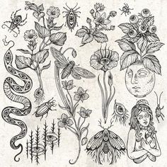 some flowers and plants are drawn in black ink on white paper, with an image of a