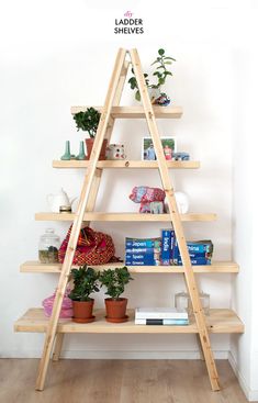 a wooden shelf with plants and books on it