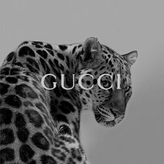 a black and white photo of a leopard with the word gucci in front of it