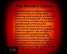 the monkey dance poem written in red and black with an orange light shining on it