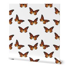 an orange and black butterfly pattern on white paper with the word,'butterflies '