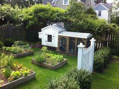 a backyard garden with various plants and flowers in the yard, including an old shed