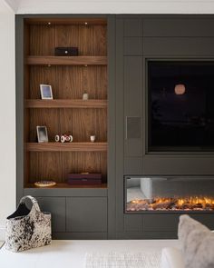 a living room with a fire place and built in bookshelves