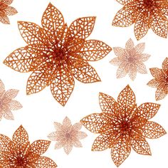 an image of decorative flowers on white background