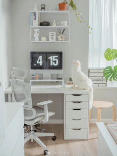 a white cat sitting on top of a desk