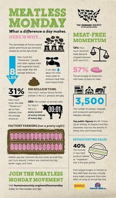 an info sheet with information about meatless monday