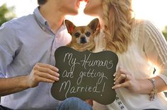 a man and woman kissing while holding a sign that says, my humans are getting married