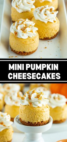 mini pumpkin cheesecakes with whipped cream on top and in the middle, sitting on a white cake plate