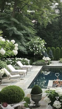 a pool surrounded by white flowers and greenery in the middle of a garden area