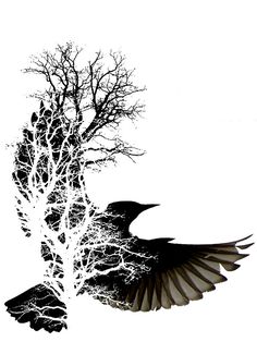 a black and white photo of a bird flying next to a tree