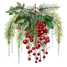 watercolor painting of berries and leaves on a branch with pine cones, evergreen needles and red berries