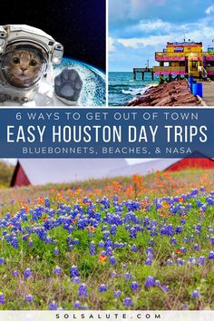 bluebonnets, beach, and nasa are the best places to get out of town