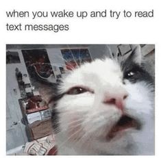 a white and black cat looking up at the camera with caption that reads, when you wake up and try to read text messages