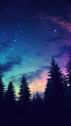 the night sky is filled with stars and trees