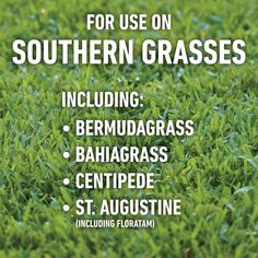 Roundup For Lawns4 is a tough weed killer for use on Southern grasses that kills weeds, not the lawn (when used as directed). This product kills 93 types of weeds, including dollarweed, dandelion, clover, and yellow nutsedge (see inside booklet for weed list). It can be used on Southern grasses, including Bermudagrass, Bahiagrass, Centipede, and St. Augustine (including Floratam). The ready-to-use formula with our extended wand makes it ideal for targeting weeds in hard to reach places. In fact, Poison Ivy Killer, Types Of Weeds, Kill Weeds Naturally, Tall Fescue, Wild Onions, Creeping Jenny, Garden Patio, Active Ingredient, Step By Step Instructions