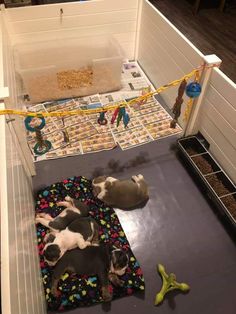 two puppies are laying on the floor next to each other in their kennel