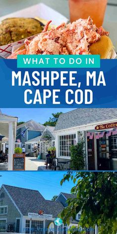 what to do in mashpee, ma cape code