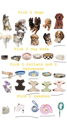 a poster with many different types of dogs on it