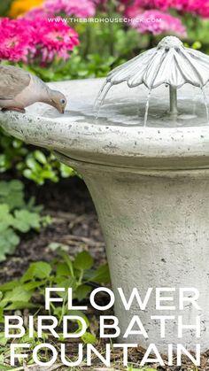 there is a bird bath in the middle of some flowers and plants with text overlay that reads, flower bird bath fountain