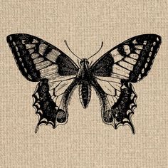 a black and white butterfly on a beige background