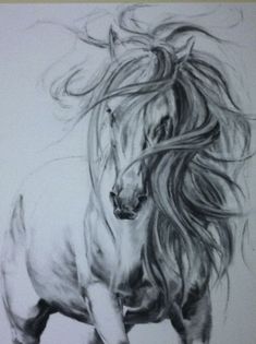 a drawing of a horse with long hair