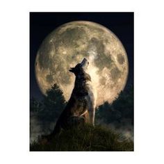 a wolf standing on top of a grass covered hill under a full moon with trees in the background