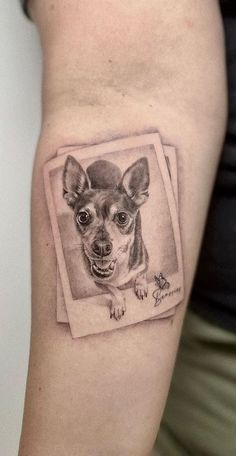 a small dog on the arm with a picture frame in it's left side