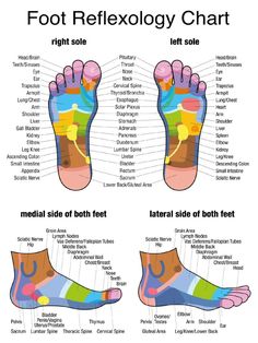 Foot Reflexology, Massage Benefits, Sciatic Nerve, Foot Massage, Pressure Points, Massage Therapist