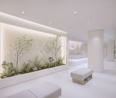 a white room with benches and plants on the wall in it's center area