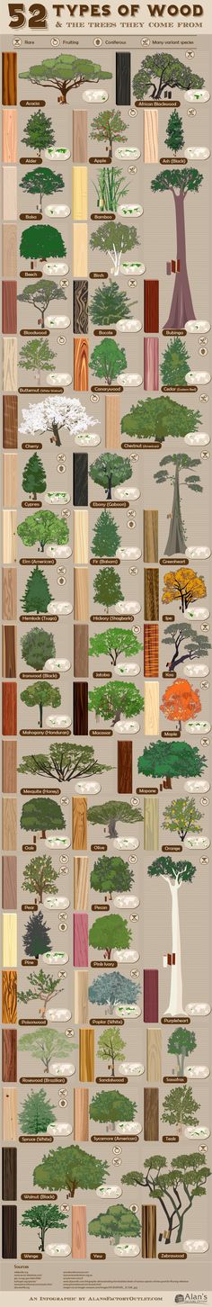 the different types of trees that are in each country and their names on them,