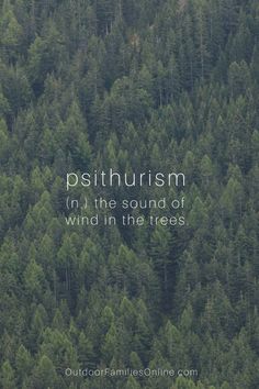 a forest with trees and the words psithurism in the sound of wind in the trees