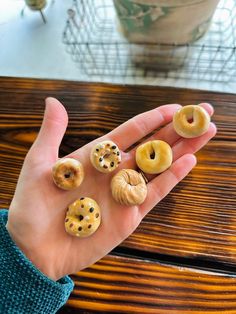 a person's hand holding five miniature doughnuts