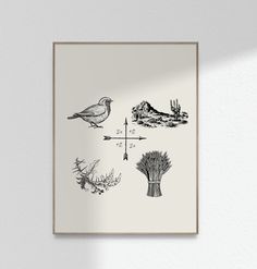 an illustration of birds and plants on a white wall