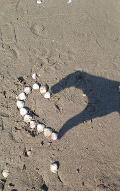 the shadow of a person's hand is casting a heart in the sand with seashells