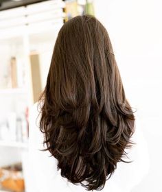 Concave Layers, Long Layered Hair, Haircuts For Long Hair, Layered Cuts, Long Hair Cuts