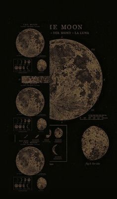 the phases of the moon are shown in black and brown colors, with an old - fashioned