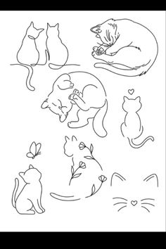 a drawing of cats and kittens on a white background