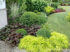 a garden filled with lots of different types of plants