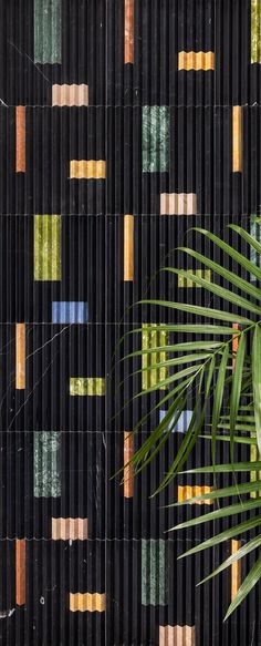 a palm tree sitting in front of a black wall with multicolored squares on it