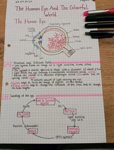 the human eye and the glaurlut diagram on a piece of paper with markers