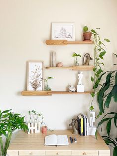 two wooden shelves above a desk with books and plants on it, along with a potted plant