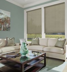 a living room filled with furniture and windows covered in blinds