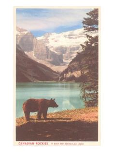 a brown bear standing on top of a grass covered field next to a lake and mountains