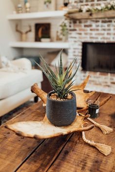 a potted plant sitting on top of a wooden table next to a fire place