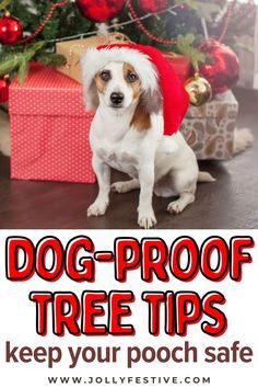 a dog wearing a santa hat sitting in front of a christmas tree with the words, dog - proof tree tips keep your pooch safe