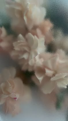 blurry photograph of pink flowers in a glass vase with water droplets on the surface