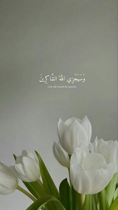 white tulips in a vase with arabic writing