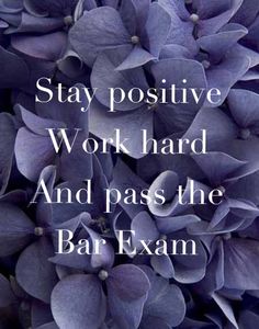 a bunch of purple flowers with the words stay positive work hard and pass the bar exam