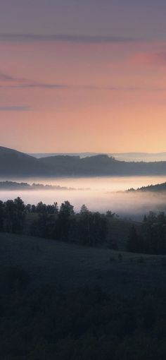 the sun is setting on a foggy valley with trees in the foreground and hills in the distance